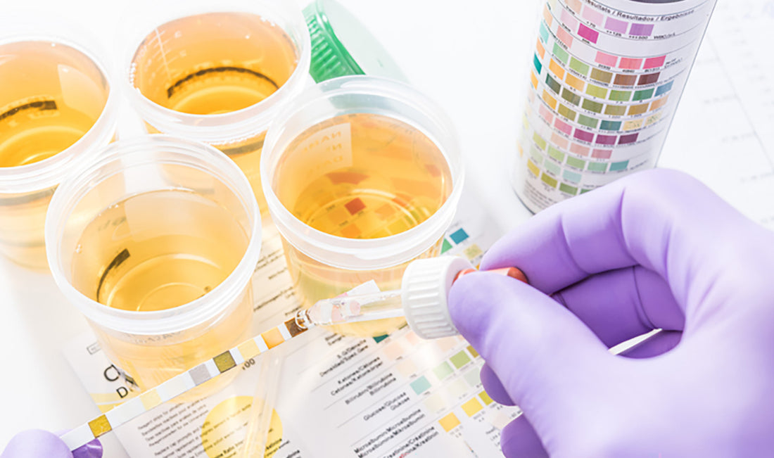 Med Testing Meditests